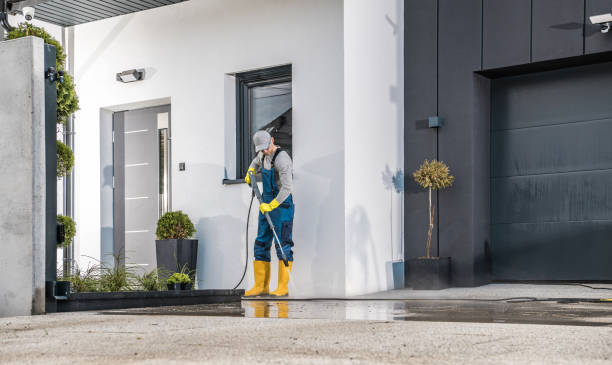 Best Driveway Pressure Washing  in Buttonwillow, CA